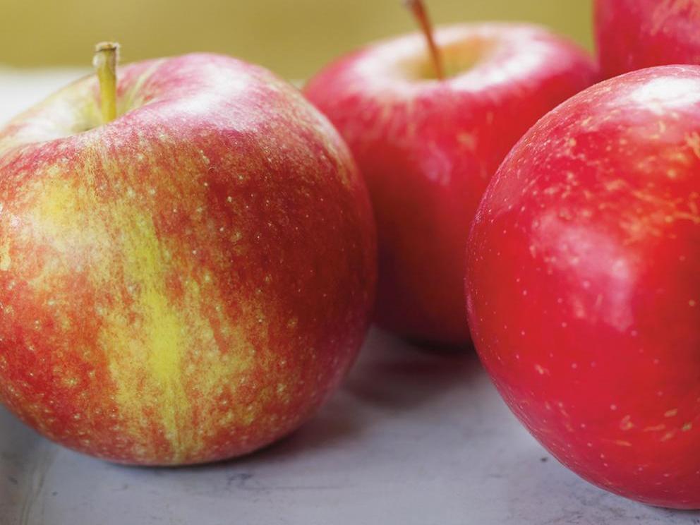 Image of Stuffed Pork Chops