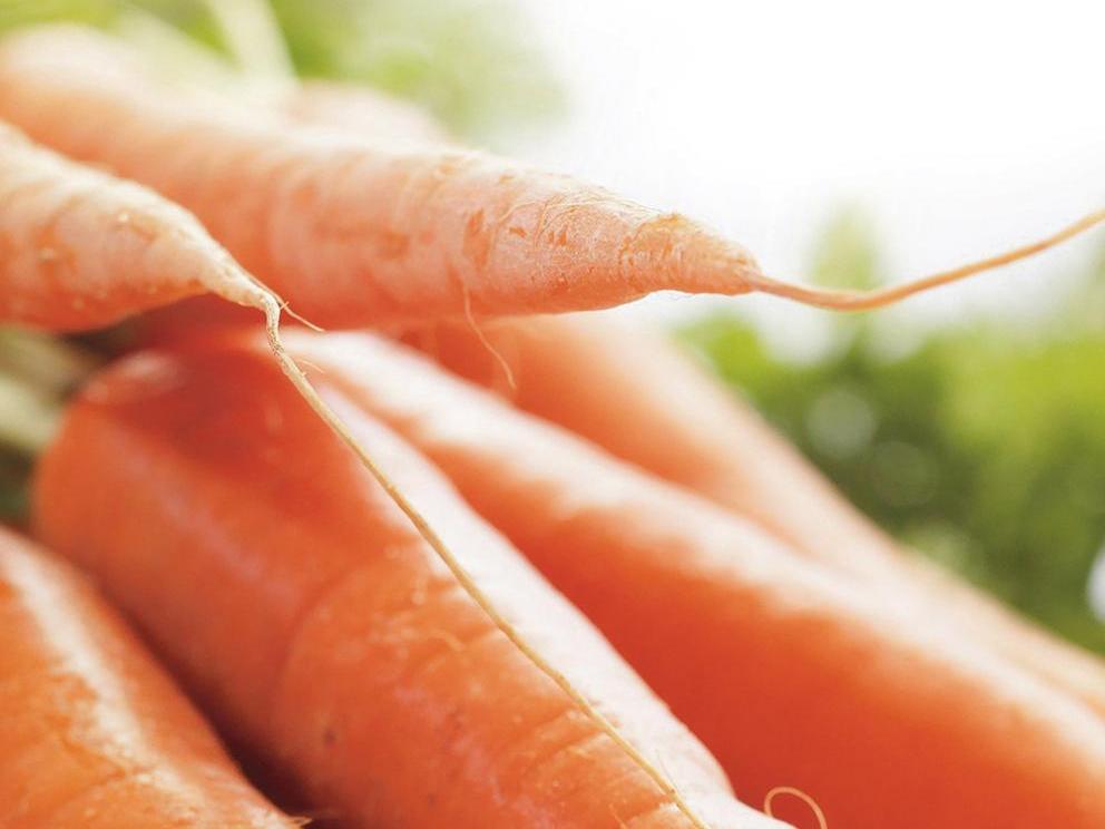 Image of Thai Noodles with Vegetables